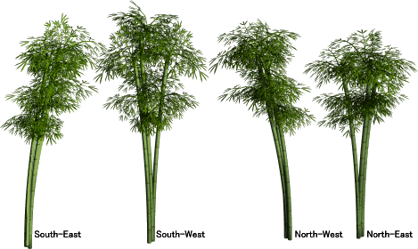BNJ_Bamboo_lamps_01