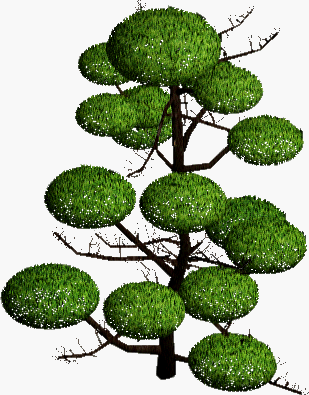 BNJ_tree_inumakiLL