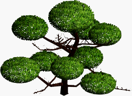 BNJ_tree_inumaki