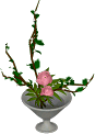 BNJs_ikebana03.gif