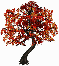 bnjmapletrees02.gif