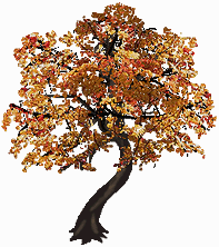 bnjmapletrees03.gif