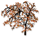 bnjminimapletrees03.gif